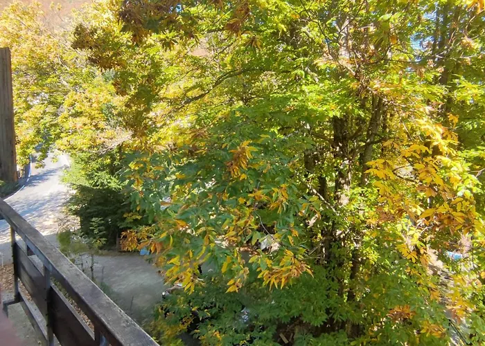 La Casa Della Lavanda